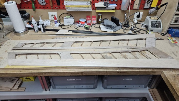Bild "Modellflug:AresNeo_Beplankt.jpg"