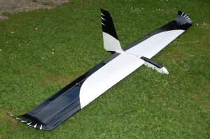 Bild "Modellflug:StorchNT-SR-Gross.jpg"