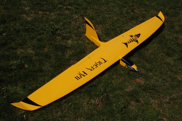 Bild "Modellflug:Tigerhai.JPG"